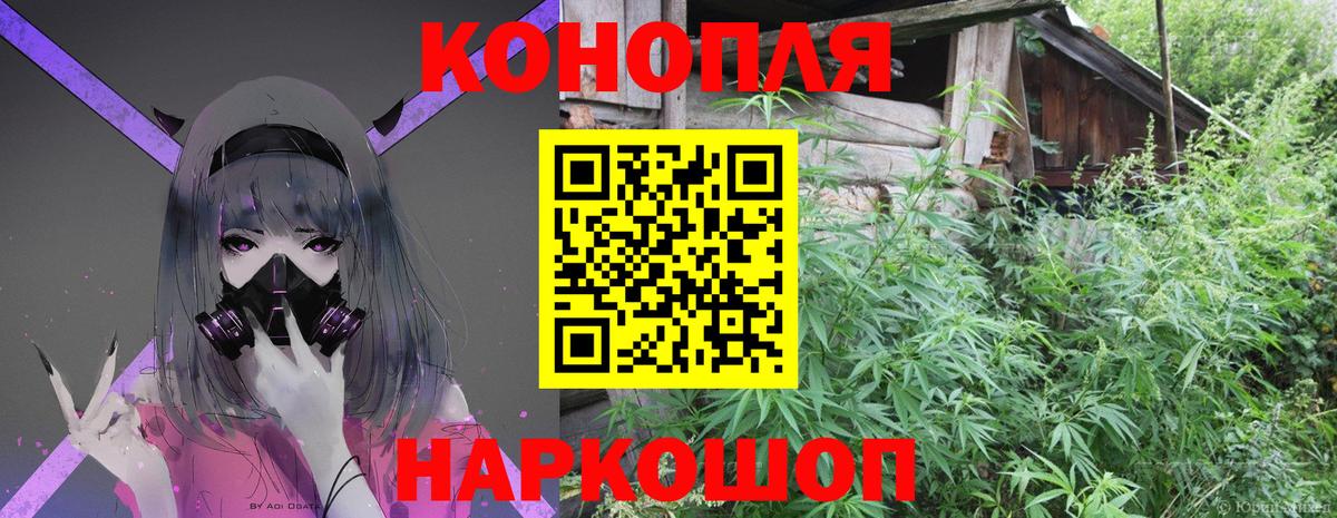 ГАШ Санкт-Петербург